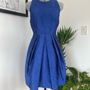 Royal Blue Jacquard Fit & Flare Dress